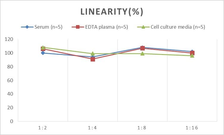 ELISA: Rat Collagen IV alpha 1 ELISA Kit (Chemiluminescence) [NBP2-75869] - Samples were spiked with high concentrations of Rat Collagen IV alpha 1 and diluted with Reference Standard & Sample Diluent to produce samples with values within the range of the assay.