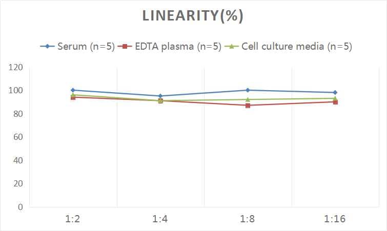 ELISA: Human Collagen V alpha 2 ELISA Kit (Colorimetric) [NBP2-75874] - Samples were spiked with high concentrations of Human Collagen V alpha 2 and diluted with Reference Standard & Sample Diluent to produce samples with values within the range of the assay.