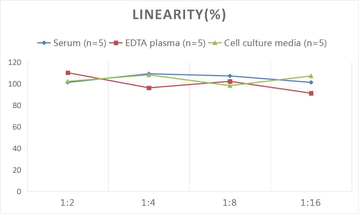 ELISA: Human Collagen VI ELISA Kit (Chemiluminescence) [NBP2-75875] - Samples were spiked with high concentrations of Human Collagen VI and diluted with Reference Standard & Sample Diluent to produce samples with values within the range of the assay.