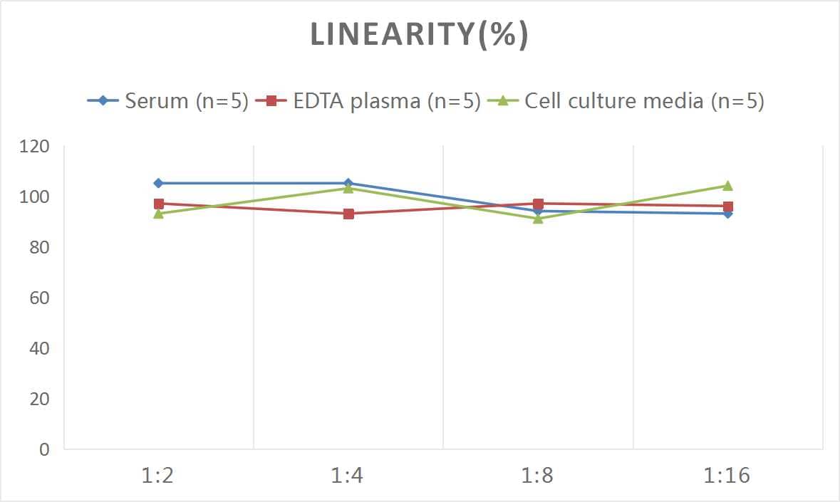 ELISA Human Collagen VIII alpha 1 ELISA Kit (Chemiluminescence)