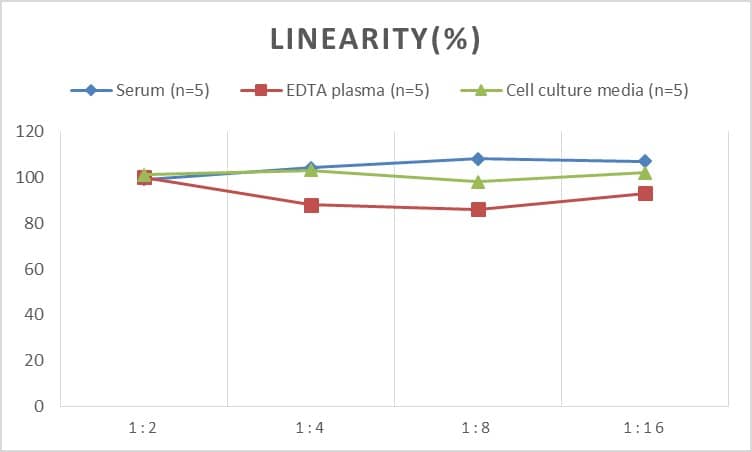 ELISA Human Collagen VIII alpha 1 ELISA Kit (Colorimetric)