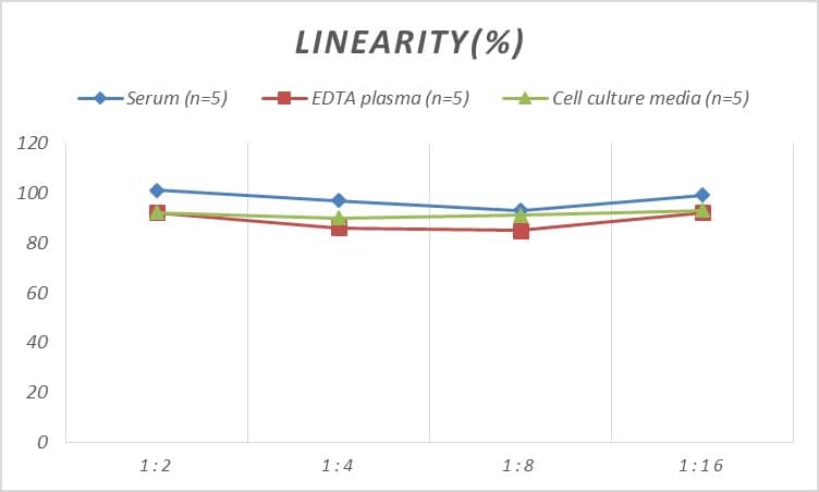 ELISA: Human COL9A3 ELISA Kit (Colorimetric) [NBP2-75887] - Samples were spiked with high concentrations of Human COL9A3 and diluted with Reference Standard & Sample Diluent to produce samples with values within the range of the assay.