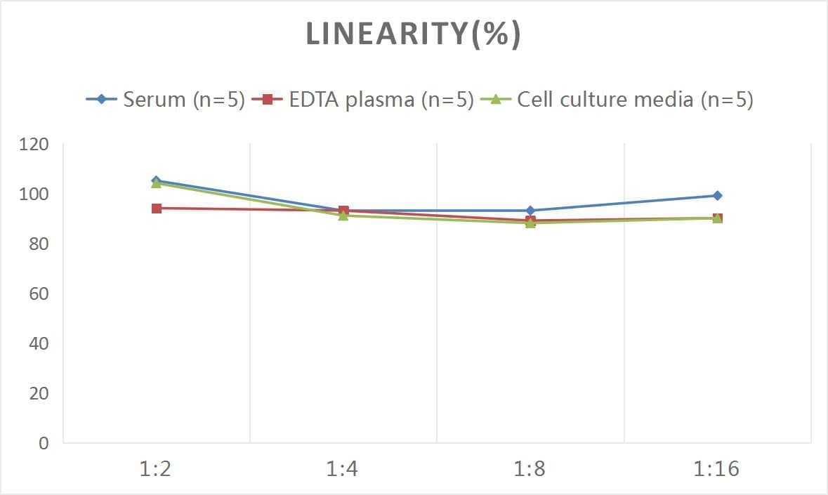 ELISA Rat Collagenase Type 1 ELISA Kit (Colorimetric)