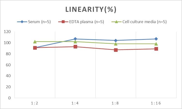 ELISA: Human HSP40/DNAJB1 ELISA Kit (Colorimetric) [NBP2-76440] - Samples were spiked with high concentrations of Human HSP40/DNAJB1 and diluted with Reference Standard & Sample Diluent to produce samples with values within the range of the assay.