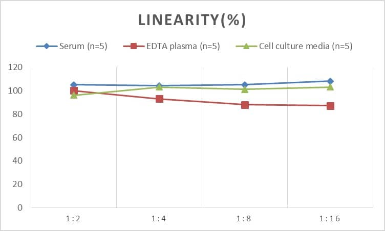 ELISA: Rat HSP40/DNAJB1 ELISA Kit (Colorimetric) [NBP2-76442] - Samples were spiked with high concentrations of Rat HSP40/DNAJB1 and diluted with Reference Standard & Sample Diluent to produce samples with values within the range of the assay.