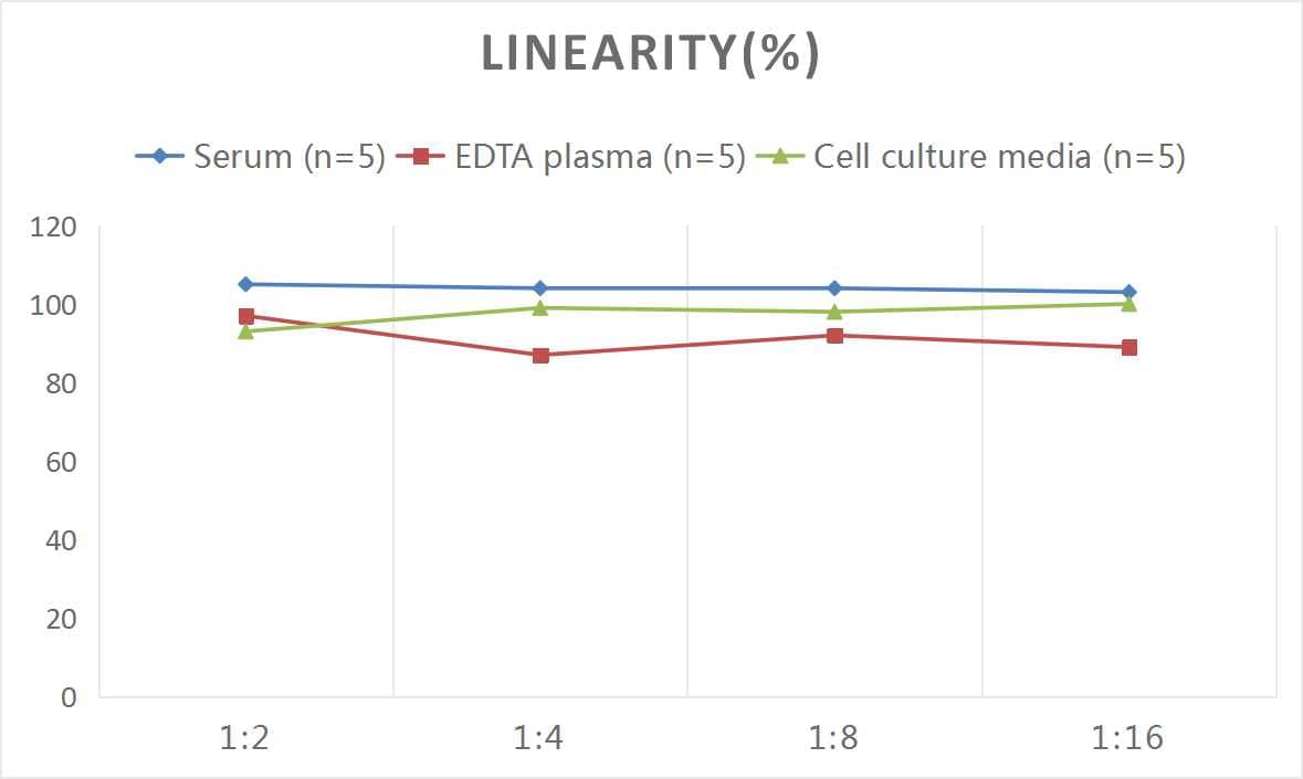 ELISA: Mouse HSP60 ELISA Kit (Colorimetric) [NBP2-76443] - Samples were spiked with high concentrations of Mouse HSP60 and diluted with Reference Standard & Sample Diluent to produce samples with values within the range of the assay.