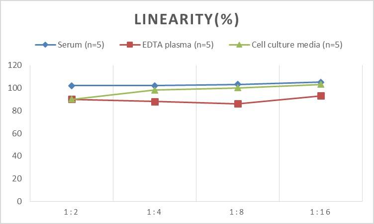 ELISA: Mouse gp96/HSP90B1/GRP94 ELISA Kit (Colorimetric) [NBP2-76452] - Samples were spiked with high concentrations of Mouse gp96/HSP90B1/GRP94 and diluted with Reference Standard & Sample Diluent to produce samples with values within the range of the assay.