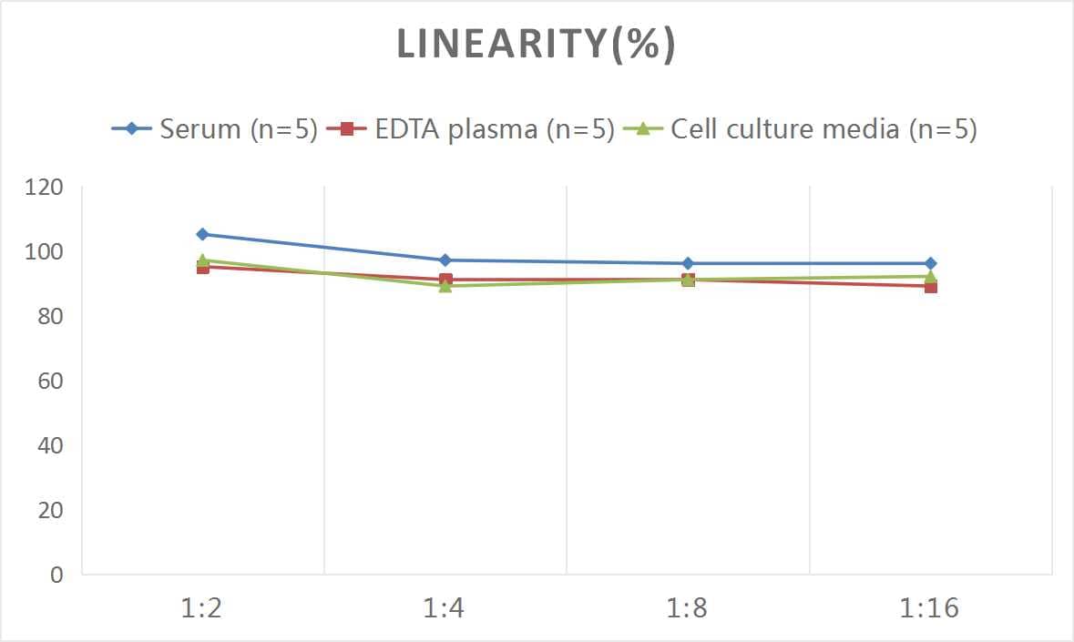 ELISA: Mouse KISS1 ELISA Kit (Colorimetric) [NBP2-76459] - Samples were spiked with high concentrations of Mouse KISS1 and diluted with Reference Standard & Sample Diluent to produce samples with values within the range of the assay.