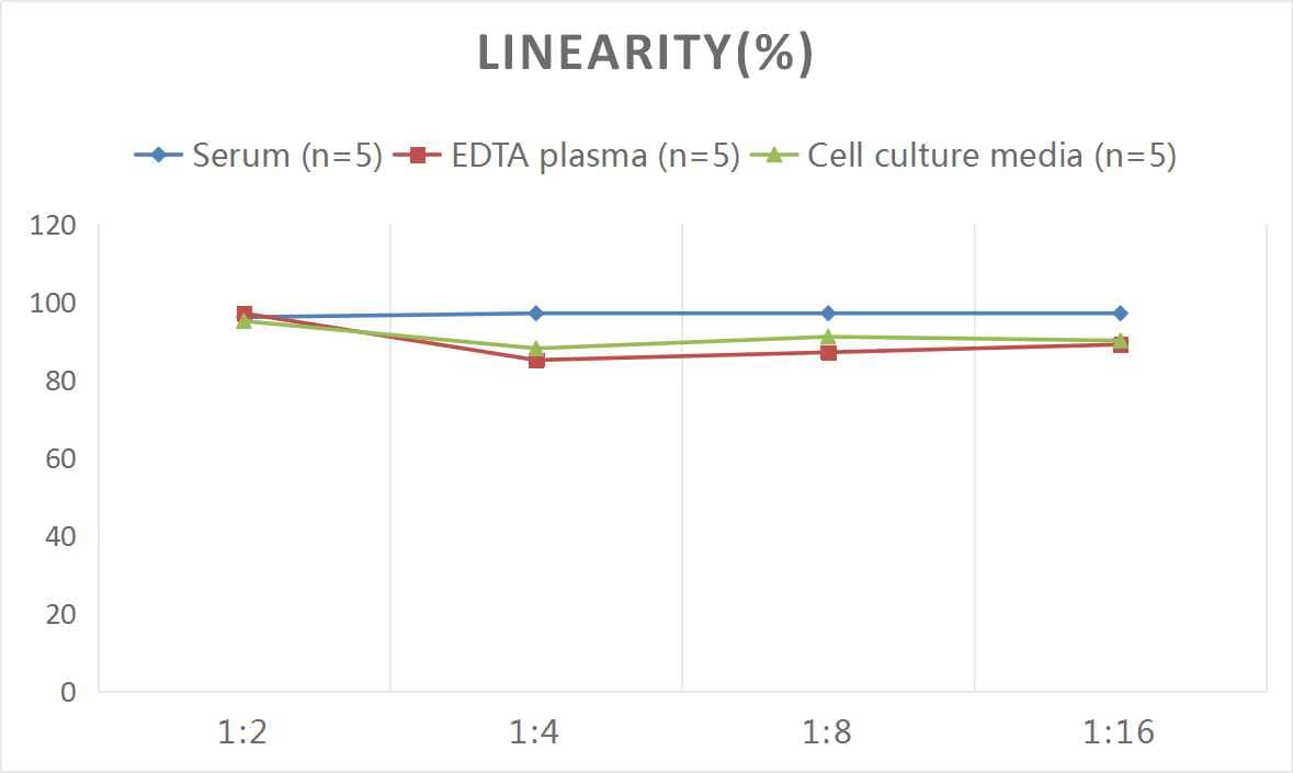 ELISA: Mouse Procollagen Type 1 N-Terminal Propeptide ELISA Kit (Colorimetric) [NBP2-76466] - Samples were spiked with high concentrations of Mouse Procollagen Type 1 N-Terminal Propeptide and diluted with Reference Standard & Sample Diluent to produce samples with values within the range of the assay.