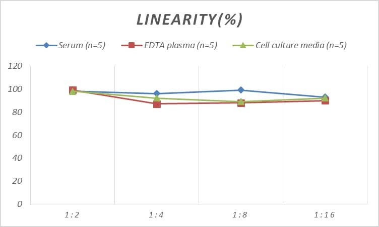 ELISA Rat CTX-III ELISA Kit (Colorimetric)