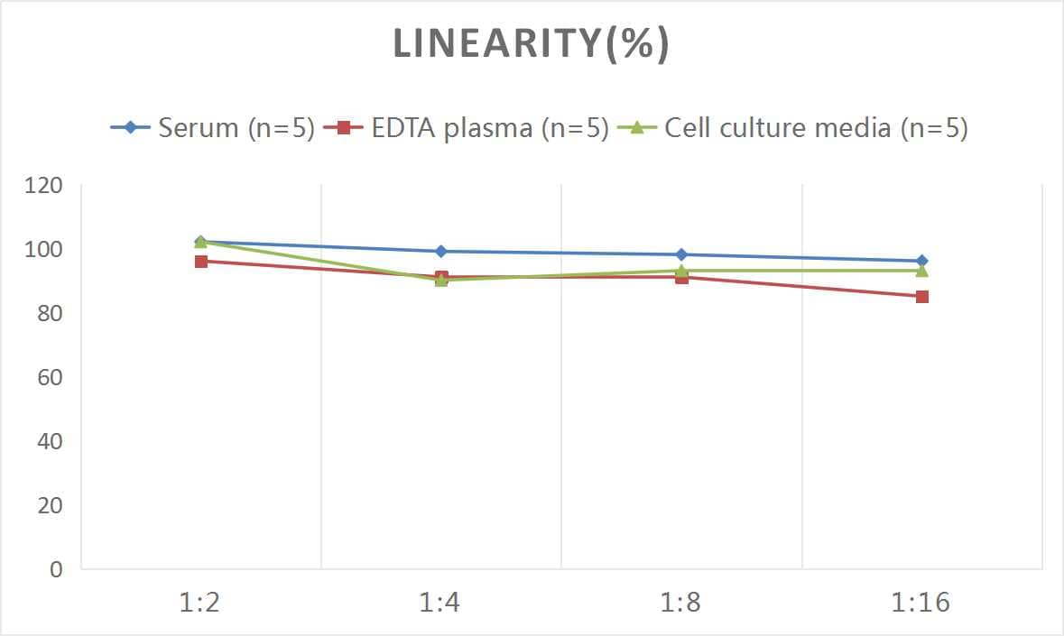 ELISA: Rat NTX1 ELISA Kit (Colorimetric) [NBP2-76473] - Samples were spiked with high concentrations of Rat NTX1 and diluted with Reference Standard & Sample Diluent to produce samples with values within the range of the assay.