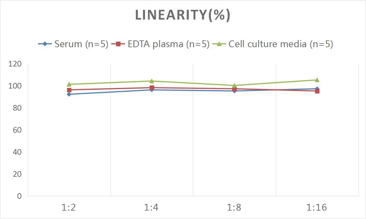 ELISA: Human Deoxypyridinoline ELISA Kit (Colorimetric) [NBP2-76474] - Samples were spiked with high concentrations of Human Deoxypyridinoline and diluted with Reference Standard & Sample Diluent to produce samples with values within the range of the assay.