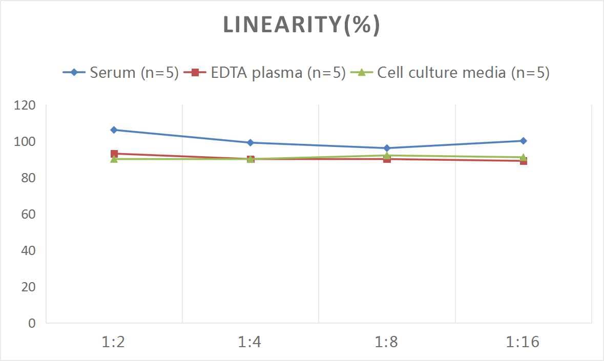 ELISA: Rat TLR2 ELISA Kit (Colorimetric) [NBP2-76475] - Samples were spiked with high concentrations of Rat TLR2 and diluted with Reference Standard & Sample Diluent to produce samples with values within the range of the assay.