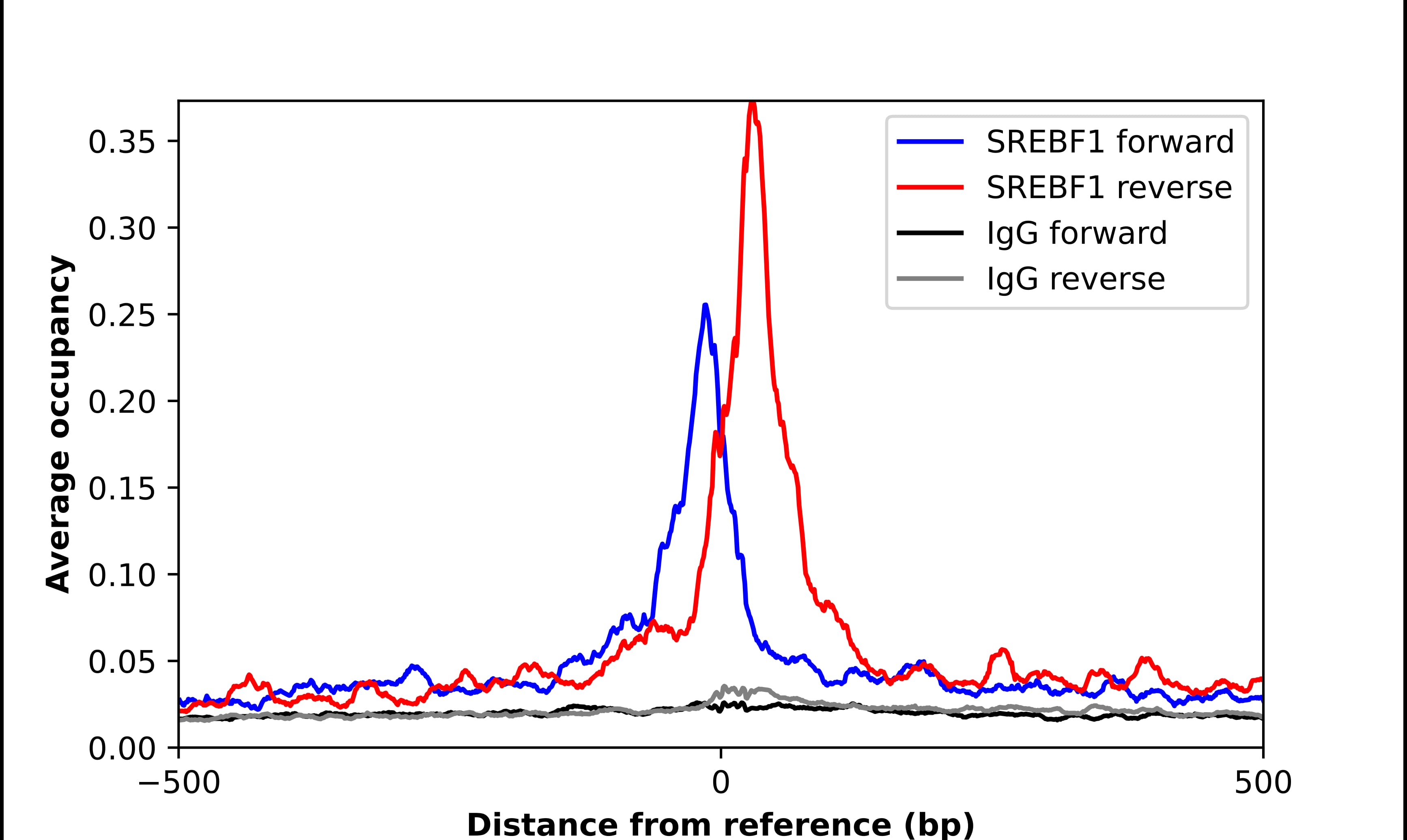 ChIP-Exo-Seq composite graph for Anti-SREBP1 tested in K562 cells. Strand-specific reads (blue: forward, red: reverse) and IgG controls (black: forward, grey: reverse) are plotted against the distance from a composite set of reference binding sites. The antibody exhibits robust target enrichment compared to a non-specific IgG control and precisely reveals its structural organization around the binding site. Data generated by Prof. B. F. Pugh's Lab at Cornell University.