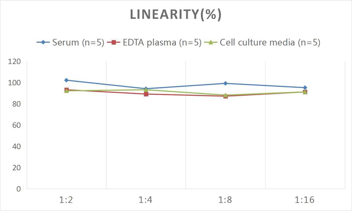 ELISA: Rat TLR9 ELISA Kit (Colorimetric) [NBP2-76577] - Samples were spiked with high concentrations of Rat TLR9 and diluted with Reference Standard & Sample Diluent to produce samples with values within the range of the assay.