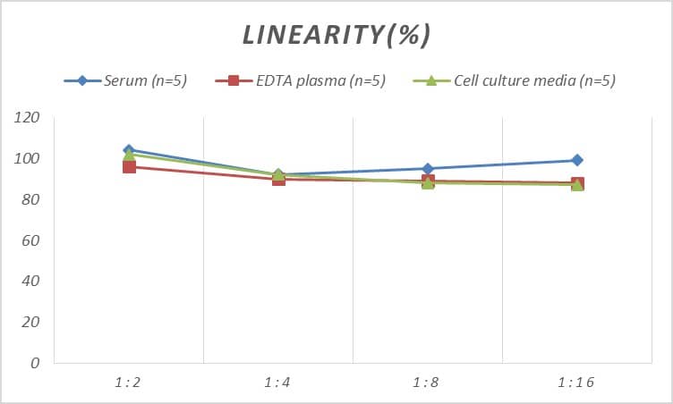 ELISA Human ORP150/HSP12A ELISA Kit (Colorimetric)
