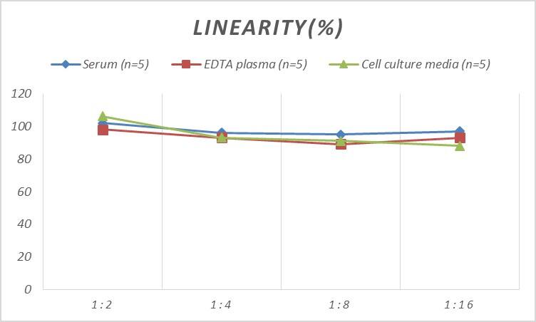 ELISA Rat ORP150/HSP12A ELISA Kit (Colorimetric)