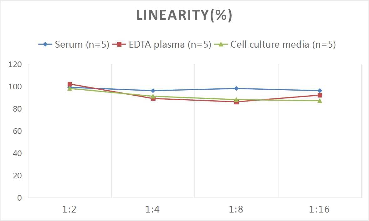 ELISA: Rat Syndecan-1/CD138 ELISA Kit (Colorimetric) [NBP2-76611] - Samples were spiked with high concentrations of Rat Syndecan-1/CD138 and diluted with Reference Standard & Sample Diluent to produce samples with values within the range of the assay.