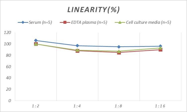 ELISA Rat Smad2 ELISA Kit (Colorimetric)