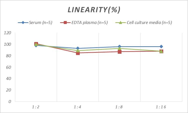 ELISA Human Smad2 ELISA Kit (Colorimetric)