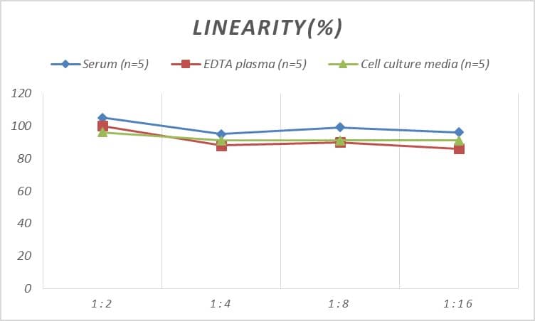 ELISA: Rat Smad7 ELISA Kit (Colorimetric) [NBP2-76628] - Samples were spiked with high concentrations of Rat Smad7 and diluted with Reference Standard & Sample Diluent to produce samples with values within the range of the assay.