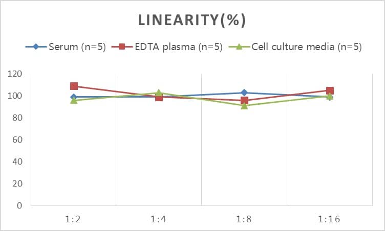 ELISA: Rat Procollagen type III N-terminal Propeptide ELISA Kit (Chemiluminescence) [NBP2-76630] - Samples were spiked with high concentrations of Rat Procollagen type III N-terminal Propeptide and diluted with Reference Standard & Sample Diluent to produce samples with values within the range of the assay.
