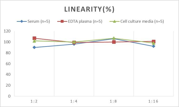 ELISA: Rat CTX-III ELISA Kit (Chemiluminescence) [NBP2-76633] - Samples were spiked with high concentrations of Rat CTX-III and diluted with Reference Standard & Sample Diluent to produce samples with values within the range of the assay.