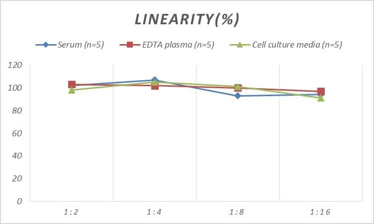 ELISA: Rat CTX-1 ELISA Kit (Chemiluminescence) [NBP2-76634] - Samples were spiked with high concentrations of Rat CTX-1 and diluted with Reference Standard & Sample Diluent to produce samples with values within the range of the assay.