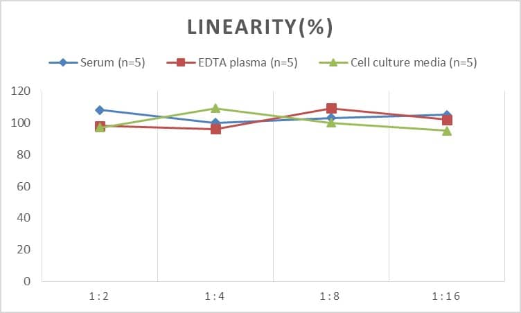 ELISA: Human HSP40/DNAJB1 ELISA Kit (Chemiluminescence) [NBP2-76639] - Samples were spiked with high concentrations of Human HSP40/DNAJB1 and diluted with Reference Standard & Sample Diluent to produce samples with values within the range of the assay.