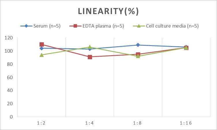 ELISA: Rat HSP40/DNAJB1 ELISA Kit (Chemiluminescence) [NBP2-76640] - Samples were spiked with high concentrations of Rat HSP40/DNAJB1 and diluted with Reference Standard & Sample Diluent to produce samples with values within the range of the assay.