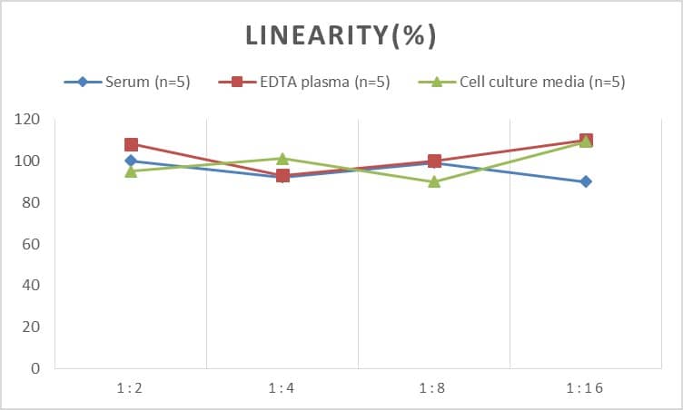 ELISA: Mouse HSP60 ELISA Kit (Chemiluminescence) [NBP2-76641] - Samples were spiked with high concentrations of Mouse HSP60 and diluted with Reference Standard & Sample Diluent to produce samples with values within the range of the assay.