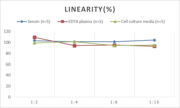 ELISA: Rat HSP60 ELISA Kit (Chemiluminescence) [NBP2-76642] - Samples were spiked with high concentrations of Rat HSP60 and diluted with Reference Standard & Sample Diluent to produce samples with values within the range of the assay.