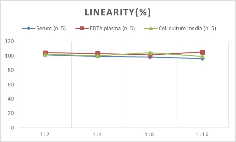 ELISA: Rabbit Syndecan-1/CD138 ELISA Kit (Colorimetric) [NBP2-76646] - Samples were spiked with high concentrations of Rabbit Syndecan-1/CD138 and diluted with Reference Standard & Sample Diluent to produce samples with values within the range of the assay.