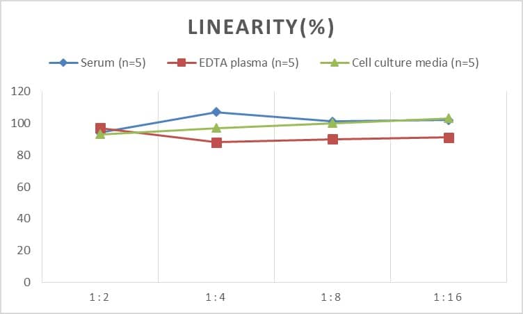 ELISA: Human MUC21 ELISA Kit (Colorimetric) [NBP2-76677] - Samples were spiked with high concentrations of Human MUC21 and diluted with Reference Standard & Sample Diluent to produce samples with values within the range of the assay.