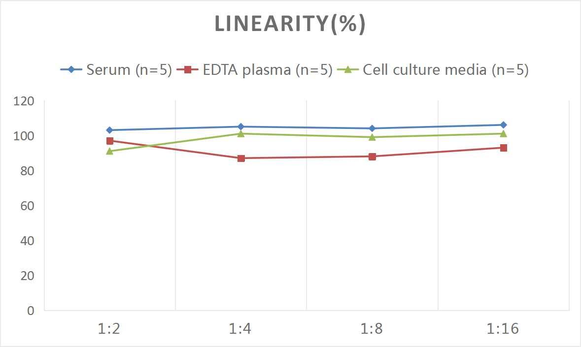 ELISA: Mouse Enolase 2/Neuron-specific Enolase ELISA Kit (Colorimetric) [NBP2-76683] - Samples were spiked with high concentrations of Mouse Enolase 2/Neuron-specific Enolase and diluted with Reference Standard & Sample Diluent to produce samples with values within the range of the assay.