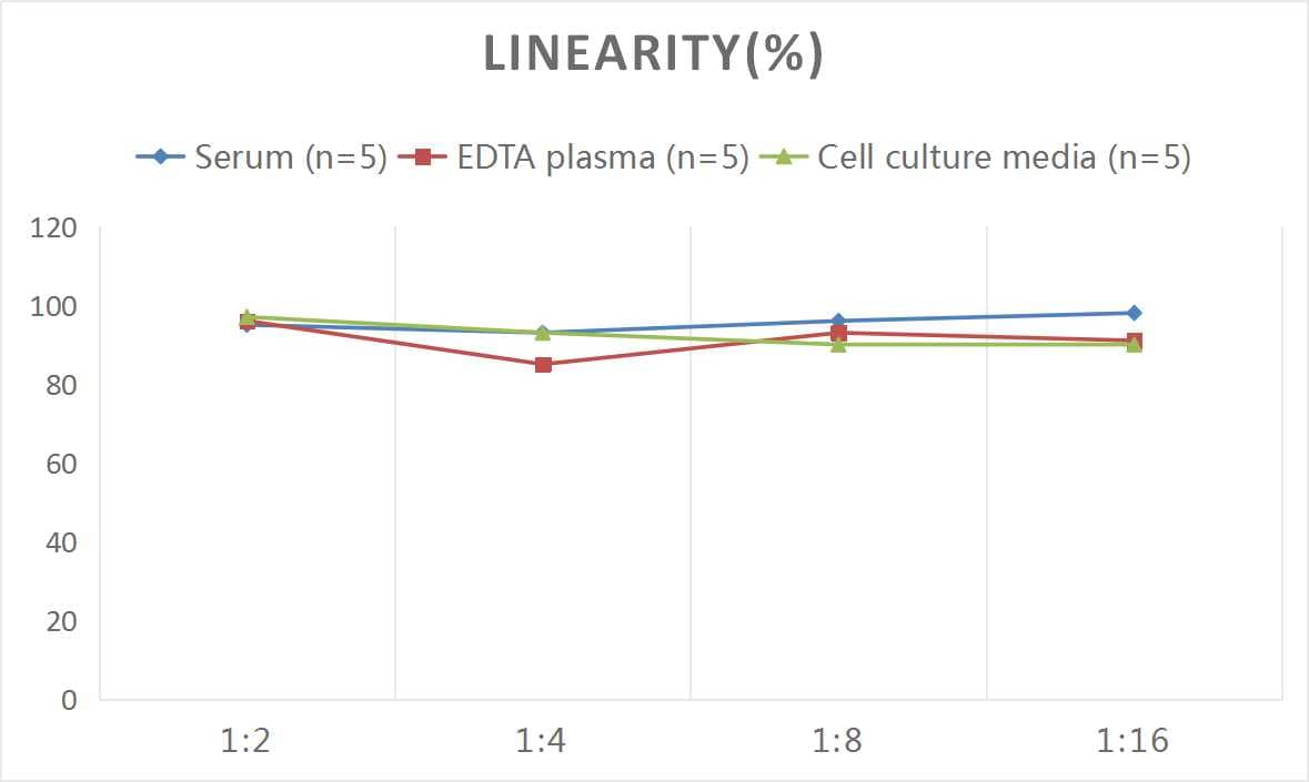 ELISA: Human MUC5B ELISA Kit (Colorimetric) [NBP2-76705] - Samples were spiked with high concentrations of Human MUC5B and diluted with Reference Standard & Sample Diluent to produce samples with values within the range of the assay.