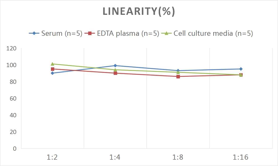 ELISA: Mouse MUC5B ELISA Kit (Colorimetric) [NBP2-76706] - Samples were spiked with high concentrations of Mouse MUC5B and diluted with Reference Standard & Sample Diluent to produce samples with values within the range of the assay.