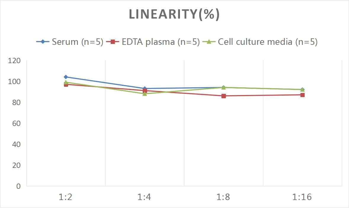 ELISA: Mouse Peptide YY ELISA Kit (Colorimetric) [NBP2-76714] - Samples were spiked with high concentrations of Mouse Peptide YY and diluted with Reference Standard & Sample Diluent to produce samples with values within the range of the assay.