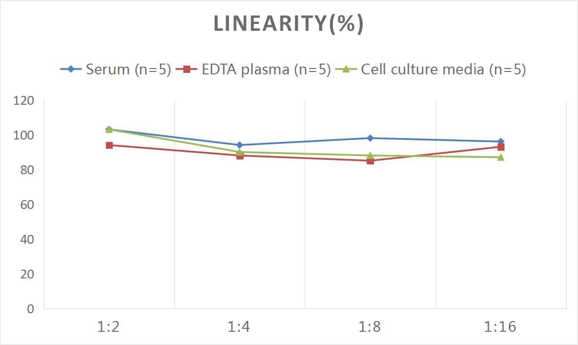 ELISA: Rat Peptide YY ELISA Kit (Colorimetric) [NBP2-76715] - Samples were spiked with high concentrations of Rat Peptide YY and diluted with Reference Standard & Sample Diluent to produce samples with values within the range of the assay.