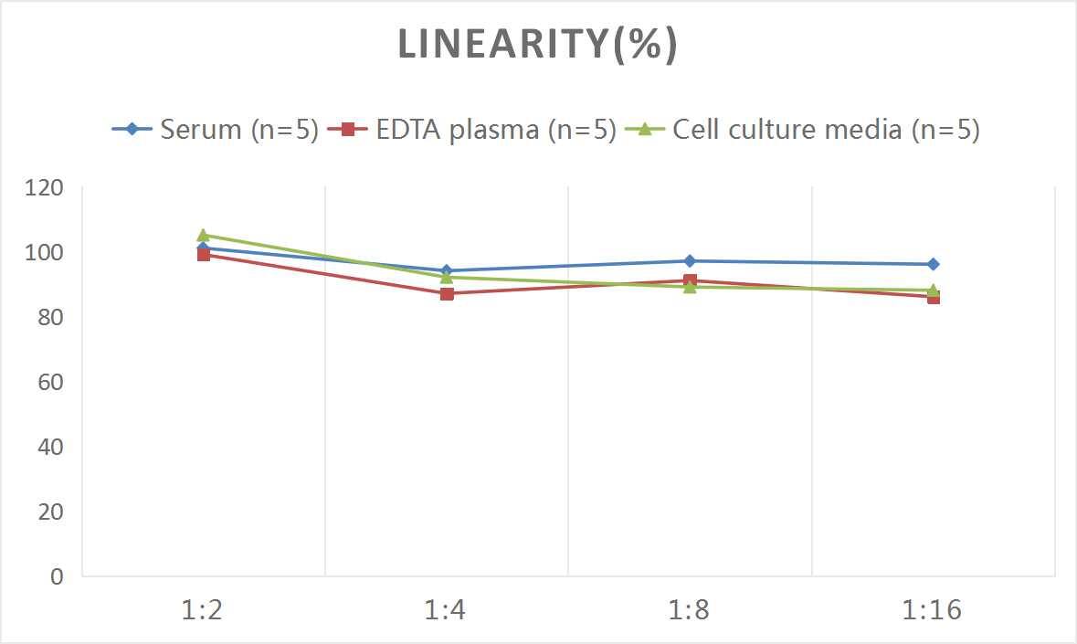 ELISA: Rat Tau [p Ser610] ELISA Kit (Colorimetric) [NBP2-76716] - Samples were spiked with high concentrations of Rat Tau and diluted with Reference Standard & Sample Diluent to produce samples with values within the range of the assay.