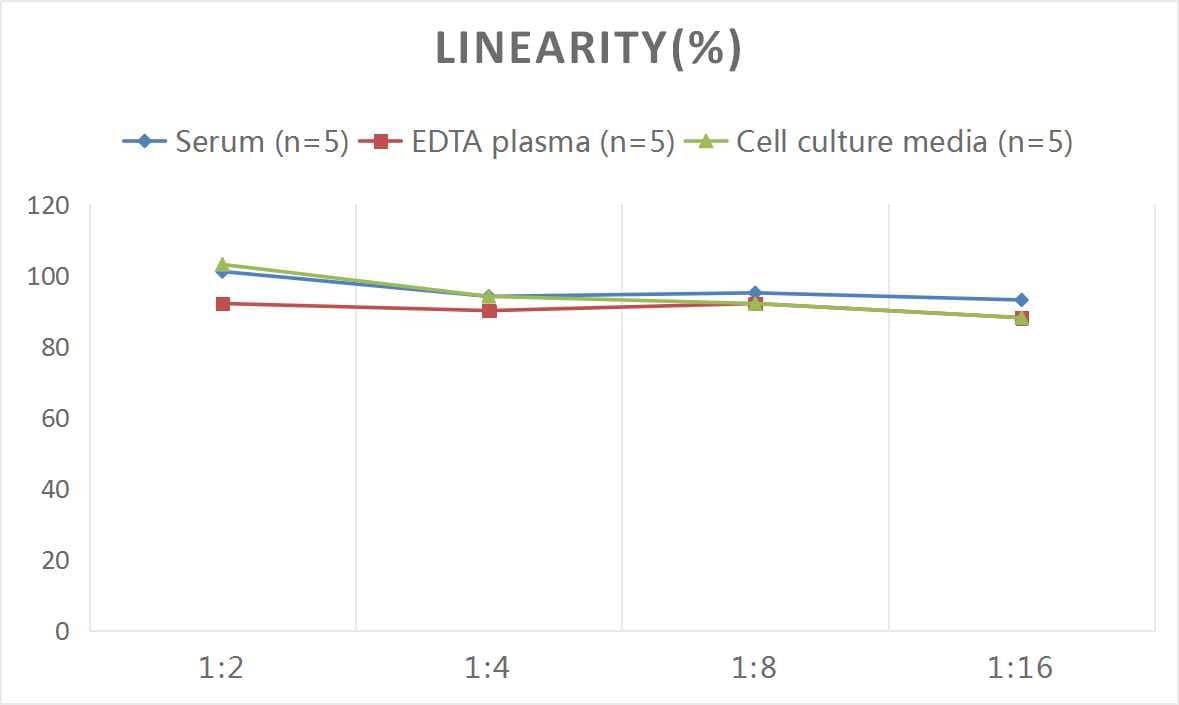 ELISA: Rat Galectin-3 ELISA Kit (Colorimetric) [NBP2-76724] - Samples were spiked with high concentrations of Rat Galectin-3 and diluted with Reference Standard & Sample Diluent to produce samples with values within the range of the assay.