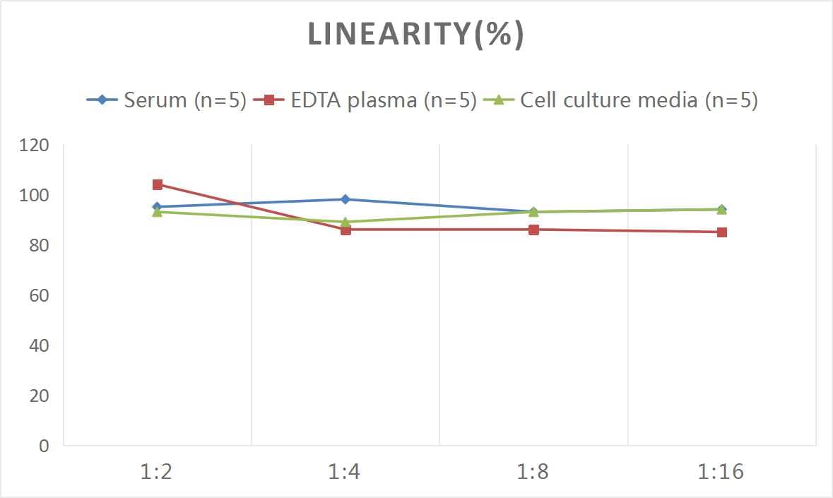 ELISA: Mouse Galectin-9 ELISA Kit (Colorimetric) [NBP2-76729] - Samples were spiked with high concentrations of Mouse Galectin-9 and diluted with Reference Standard & Sample Diluent to produce samples with values within the range of the assay.