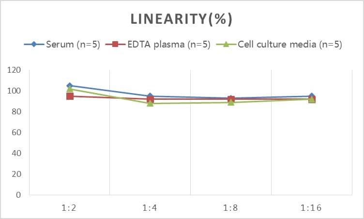 ELISA: Rat Galectin-9 ELISA Kit (Colorimetric) [NBP2-76730] - Samples were spiked with high concentrations of Rat Galectin-9 and diluted with Reference Standard & Sample Diluent to produce samples with values within the range of the assay.