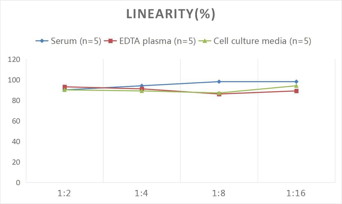 ELISA: Human Neuroglobin ELISA Kit (Colorimetric) [NBP2-76740] - Samples were spiked with high concentrations of Human Neuroglobin and diluted with Reference Standard & Sample Diluent to produce samples with values within the range of the assay.