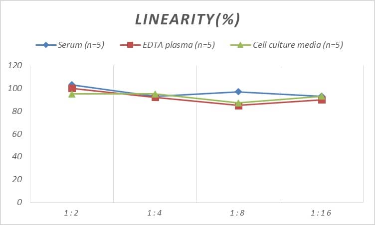 ELISA: Rat Neuroglobin ELISA Kit (Colorimetric) [NBP2-76742] - Samples were spiked with high concentrations of Rat Neuroglobin and diluted with Reference Standard & Sample Diluent to produce samples with values within the range of the assay.