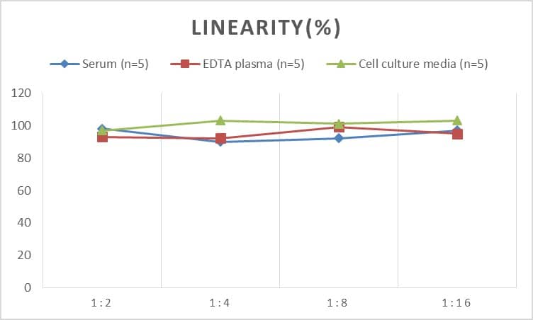 ELISA: Human Neurokinin B ELISA Kit (Colorimetric) [NBP2-76743] - Samples were spiked with high concentrations of Human Neurokinin B and diluted with Reference Standard & Sample Diluent to produce samples with values within the range of the assay.