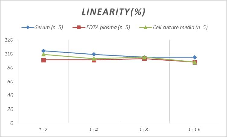 ELISA Human Nidogen-2 ELISA Kit (Colorimetric)