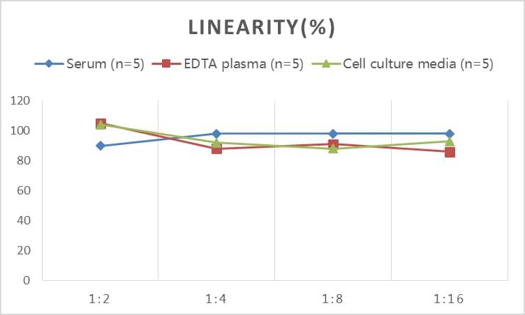 ELISA Human NOX5 ELISA Kit (Colorimetric)
