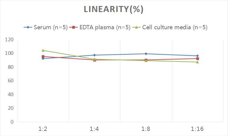 ELISA: Human Neuregulin-2 ELISA Kit (Colorimetric) [NBP2-76759] - Samples were spiked with high concentrations of Human Neuregulin-2 and diluted with Reference Standard & Sample Diluent to produce samples with values within the range of the assay.
