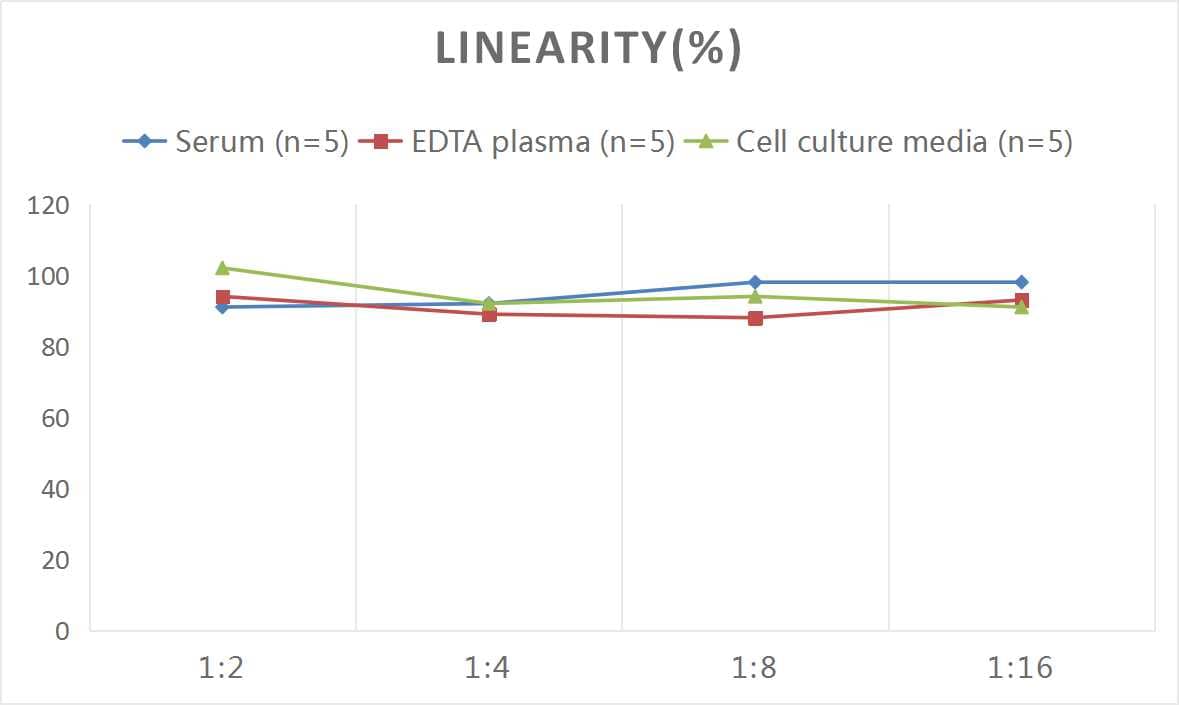 ELISA Human Netrin-1 ELISA Kit (Colorimetric)